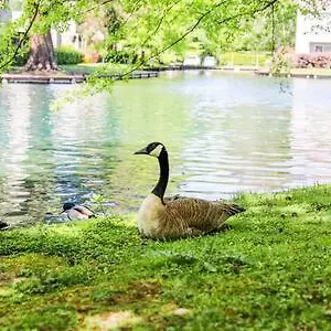 Apartment Experience With Tranquil Lakeside Views, Sacramento